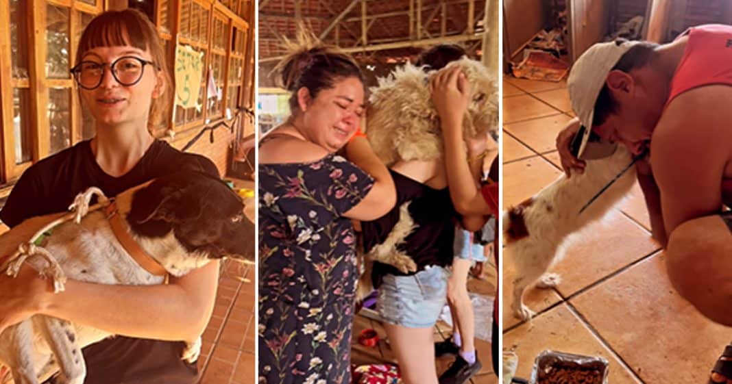 Tutores reencontram seus pets depois da tragédia com a ajuda dos voluntários! “Um choro de felicidade!”.