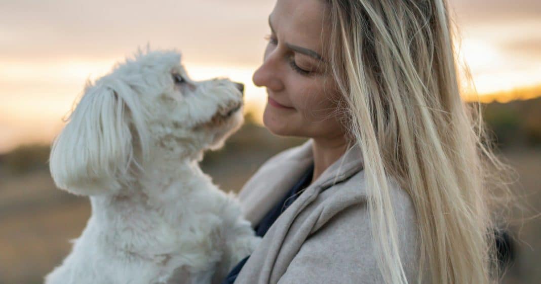 “Pessoas com ALTO QI desenvolvem uma conexão única e profunda com os animais”, diz neurocientista.