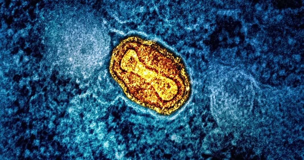 Mpox: OMS declara emergência de saúde pública global