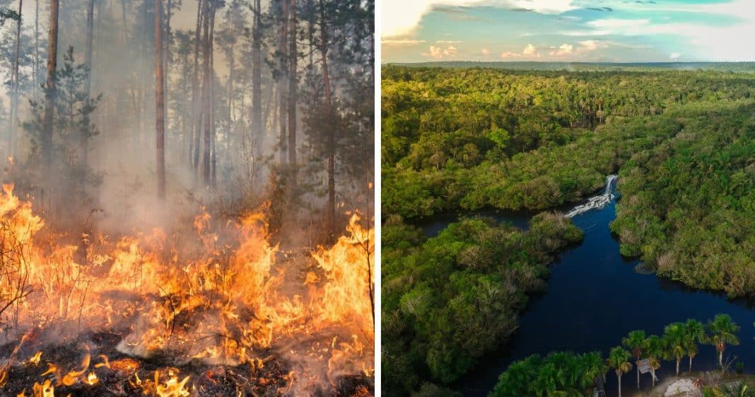 Amazônia sob ameaça: O “pulmão do mundo” tem o ar mais poluído do Brasil