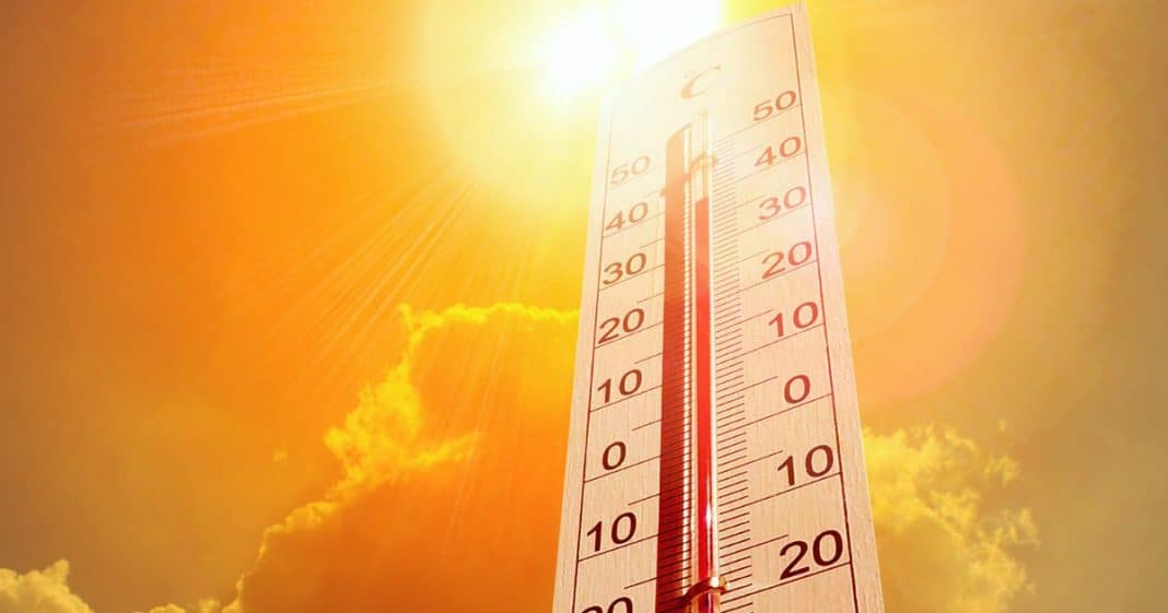 Onda de calor: Sensação térmica no Sul e Sudeste pode ultrapassar 50°C; Veja maneiras de se cuidar